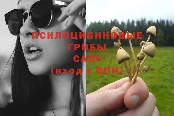 марки nbome Зеленодольск