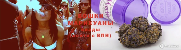 прущая мука Дмитриев