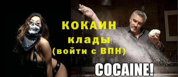 молекула духа Гусев
