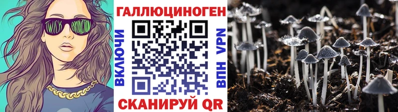 Галлюциногенные грибы Psilocybe  Купить закладки  Коммунар 