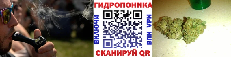 Конопля гибрид  Купить  Коммунар 